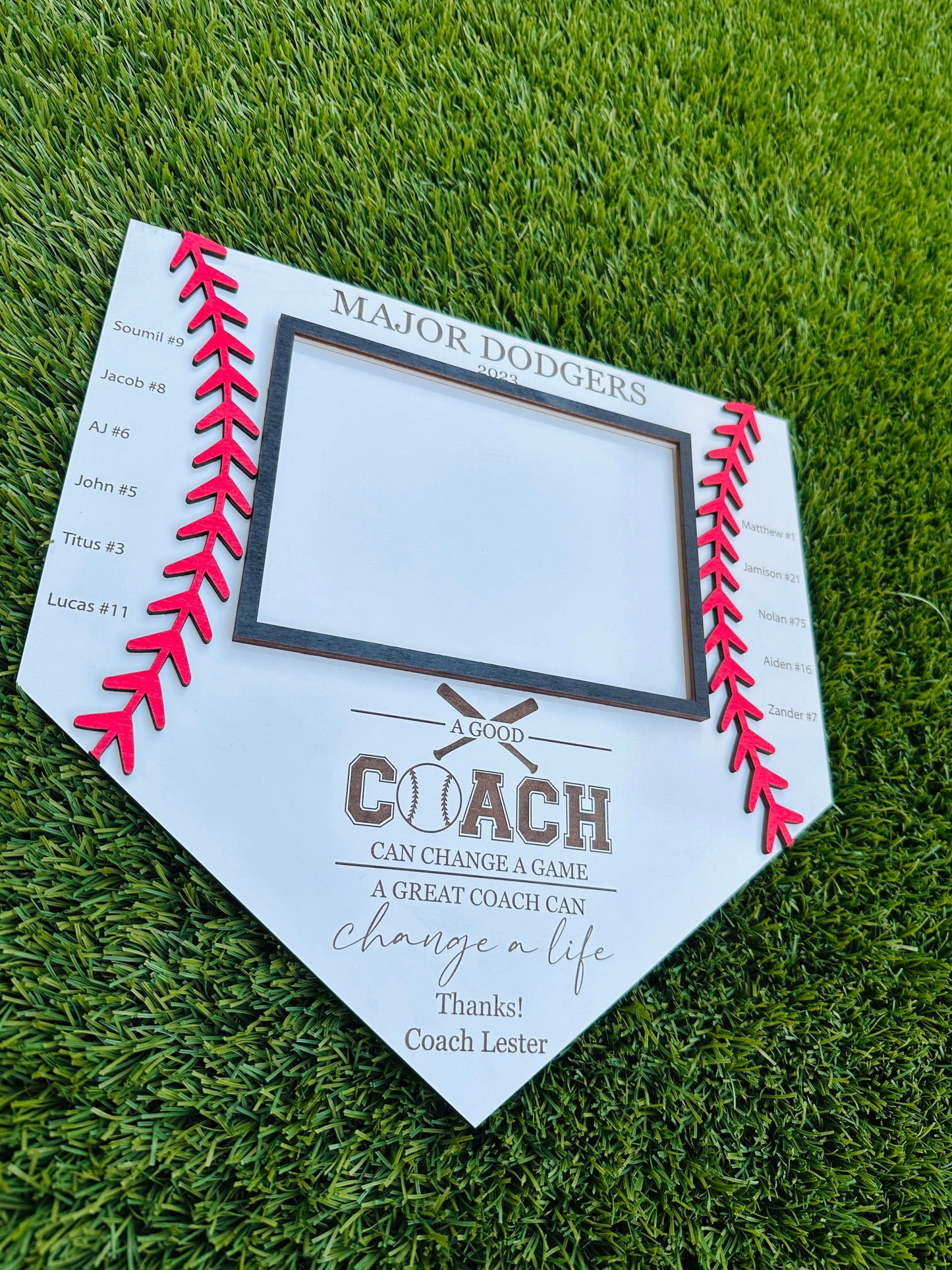 Baseball Coach Appreciation Frame