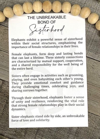 The Unbreakable Bond of Sisterhood - Elephant