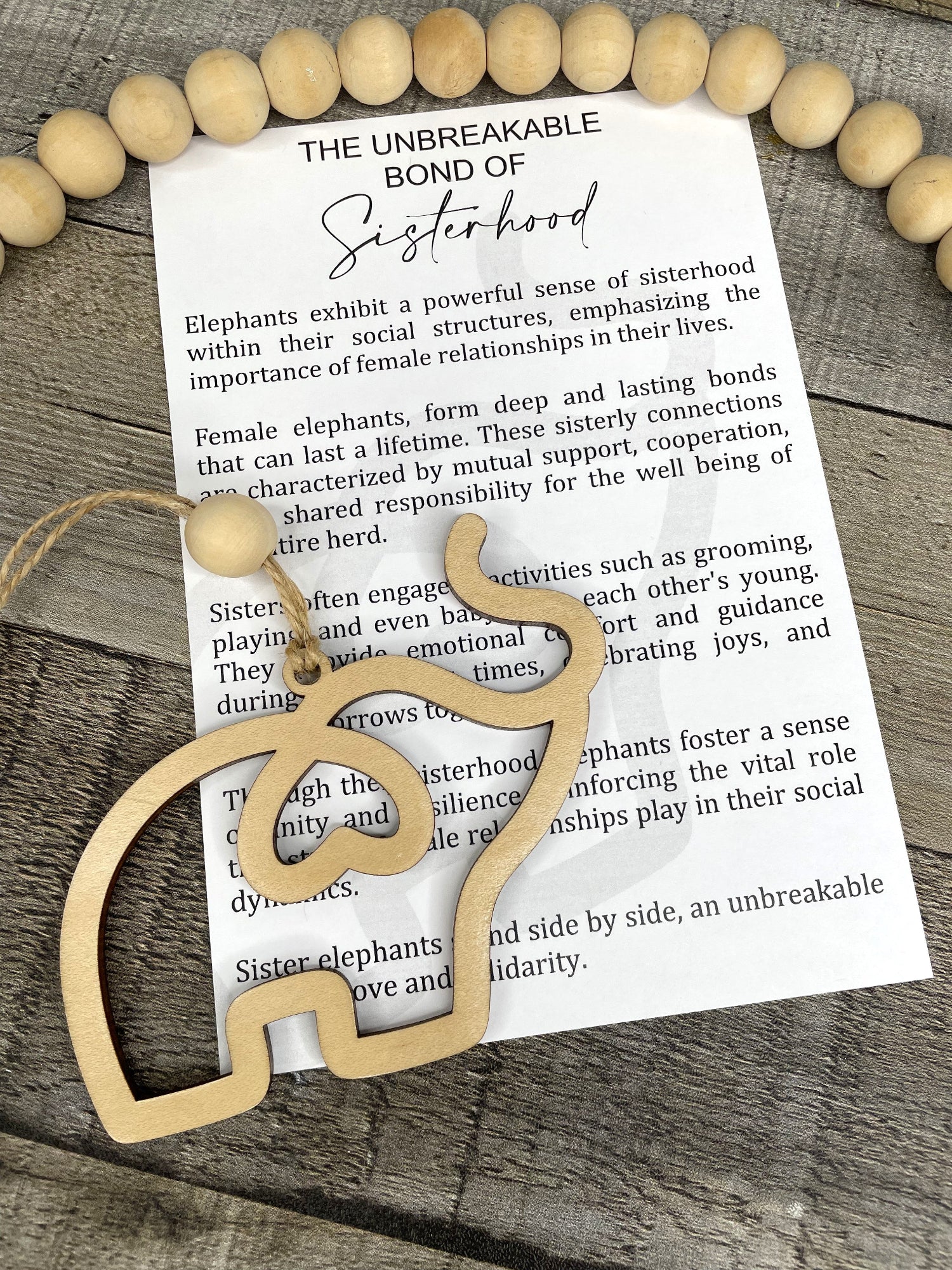 The Unbreakable Bond of Sisterhood — Elephant Story Charm | Gift for Sister or Best Friend
